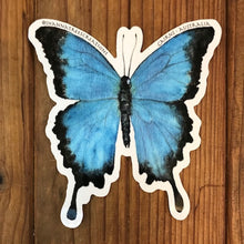 Load image into Gallery viewer, Sticker by local artist : ULYSSES BUTTERFLY

