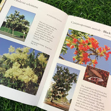 Load image into Gallery viewer, Local Author: THE FABULOUS FLOWERING TREES OF CAIRNS CITY by Fran Clayton