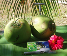 Load image into Gallery viewer, COCOTAP coconut opener