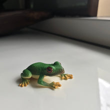 Load image into Gallery viewer, Australian Animal: GREEN TREE FROG
