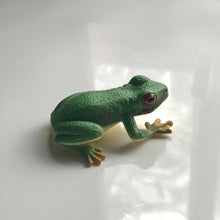 Load image into Gallery viewer, Australian Animal: GREEN TREE FROG
