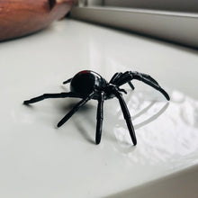 Load image into Gallery viewer, Australian Animal: REDBACK SPIDER

