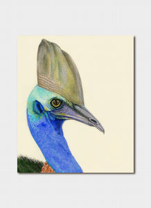 Greeting Card by Minky Grant - CASSOWARY