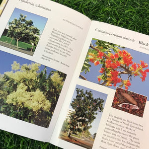 Local Author: THE FABULOUS FLOWERING TREES OF CAIRNS CITY by Fran Clayton